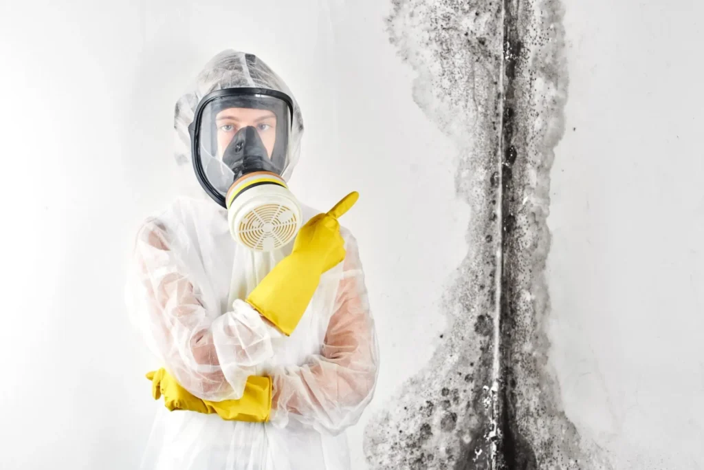 Mould Treatments